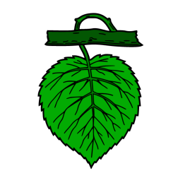 Leaf 9