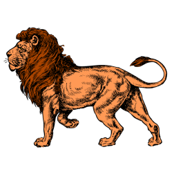 Lion IX