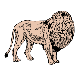Lion X
