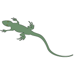 Lizard II