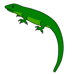 Lizard X