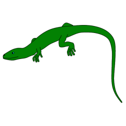 Lizard in search of food 2