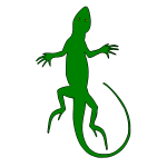 Lizard-1731420118