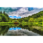 Lush Verdant Chinese Lake