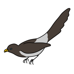 Magpie I
