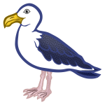 Sea gull