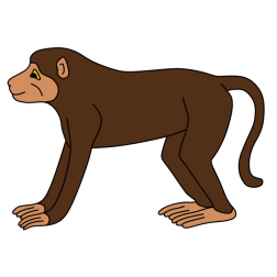 Monkey I