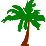 PalmTree5