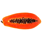 Papaya slice