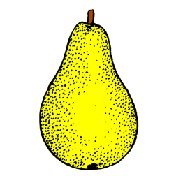 Pear III