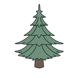 Pine 11