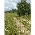 Pixellized Country Scene