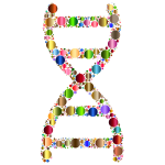 Prismatic DNA Helix Circles 4