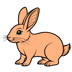 Rabbit IX