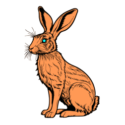 Rabbit VII