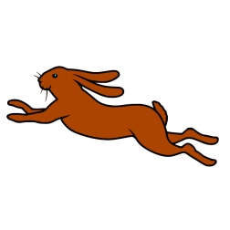 Rabbit XI