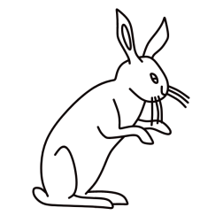 Rabbit XIX