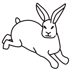 Rabbit XV