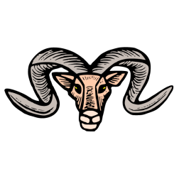 Ram 5