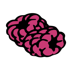 Raspberry II