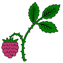 Raspberry I