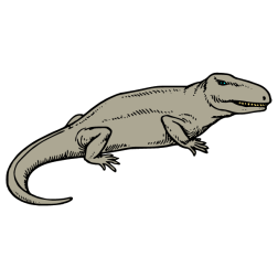 Reptiles III