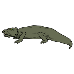 Reptiles II