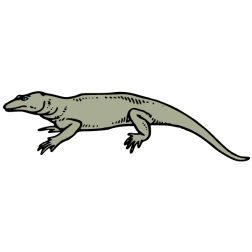 Reptiles IV