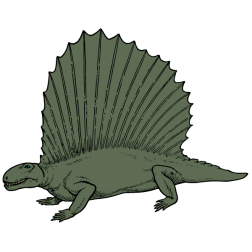 Reptiles I