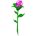 Rose19Pink