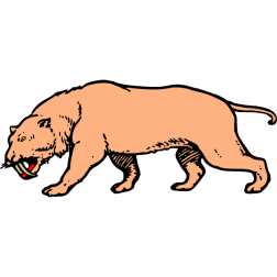 Saber-toothed tiger 2