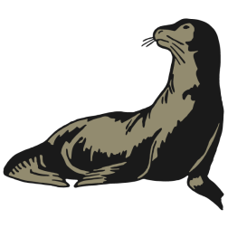 Sea lion II
