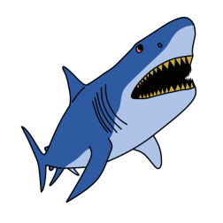 Shark 12