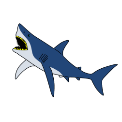 Shark 14