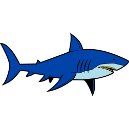 Shark 7-1717816653