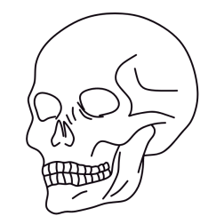 Skull VI