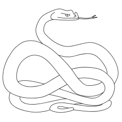 Snake 33