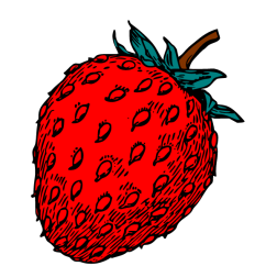 Strawberry IV