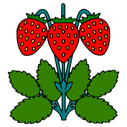 Strawberry VII