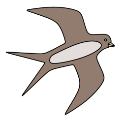Swallow 2