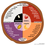 Temperament pie chart according to Eysenck