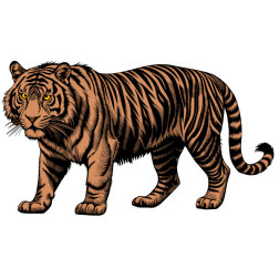 Tiger IV