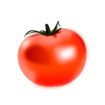 Glossy tomato vector image