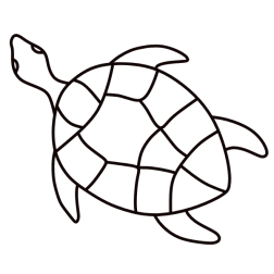 Turtle VIII