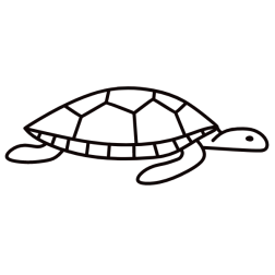 Turtle VII