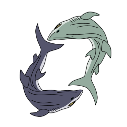 Two sharks in a circle representing yin and yang 2