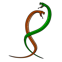 Two snakes 4