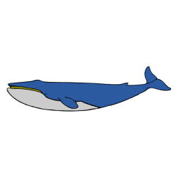Whale II