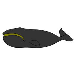 Whale VII