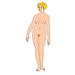 Woman 3/3